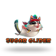 Sugar Glider