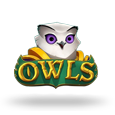 Owls