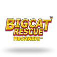 Big Cat Rescue MegaWays